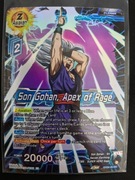 Karta Dragon Ball EX24-20 EX