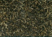 Nasiona salata masłowa okazja 5 gram 