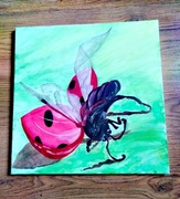 Obraz na płótnie biedronka 