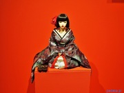 DOMENA medycynaestetyczna.wroclaw.pl