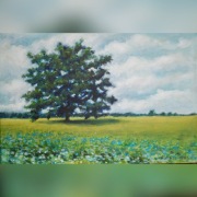 Obraz  "Chabry w polu"