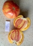 Pomidor Anna Mayer kolekcjonerskie nasiona