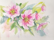 Akwarela 30x40 - "W świetle będziesz piękna"