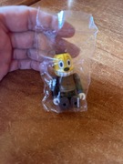 Berblik ładny z żółtą głową 