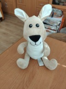 Miś kangurek średni 