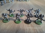 Warzone Mishima samurajowie oddział