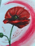 Mak z serii Kwiaty akwarela A5 obraz natura łąka 15x21