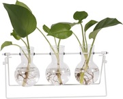 Stacja do rozmnażania roślin, wazon, stojak, dekoracja