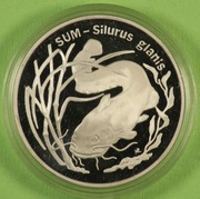 20 ZŁ 1995 SUM - SILURUS GLANIS