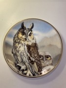 talerz sowy EDWARDIAN Long-Eared Owl kolekcjonersk