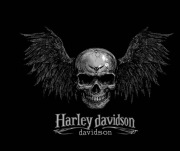 Naprasowanka do samodzielnej aplikacji  harley motor  DO 30 CM 
