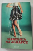 Marzenia na agrafce