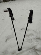 Włoskie aluminiowe kije narciarskie Luca 110 cm