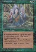 MTG Alliances: Fyndhorn Druid (Facing Front)
