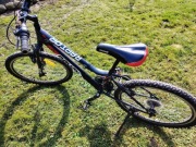 Rower Rayon dziecięcy