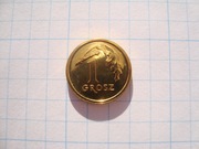 Polska moneta 1 gr grosze rok 2013 RM