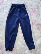 Spodnie dresowe Puma 104 