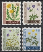 ISLANDIA - KWIATY POLNE - CZYSTE **