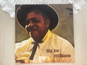 Big Joe Williams blues z delty winyl UNIKAT