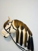 Hobby horse Texas