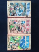 Manga fairy tail 1
