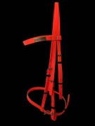 Ogłowie biothane z wodzami 