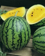 Nasiona arbuza Kogane F1 