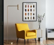 Plakat A3 Cubaris Izopody- biały