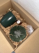 Prezent dla dziadka z żywicy 