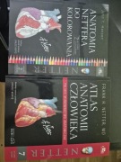 Anatomia Nettera do kolorowania komplet