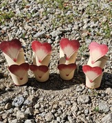 Doniczki mini kubeczki metalowe 8szt 