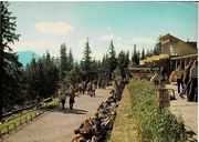 Pocztówka Zakopane 224