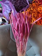 Tymotka  różowa naturalna trawa susz na palmy