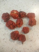 Carolina Reaper dehydratyzowana 