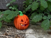 Unikalne Dynie Halloweenowe z Migoczącym Światłem LED – Magiczny Klimat!