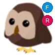 Owl Adopt Me AM 