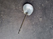 Łyżka z muszli do owoców morza, kawioru