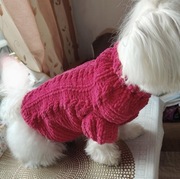 Sweterek dla pieska na szydełku