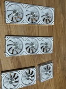 Asiahorse dawn  120mm