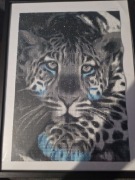 Piękny obraz tygrys