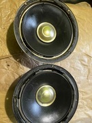 Głośniki GDN 25/60/6 (TT-250 P2-8 CATH)