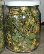 Ziele jasnoty żółtej suszone 30g jasnota żółta gajowiec