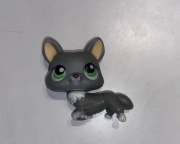 Lps piesek unikat/pop