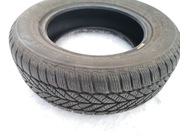Opony zimowe Dębica Frigo 2 195 / 65 R15