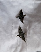 Korpusówki Sił Powietrznych komplet