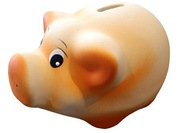 Skarbonka ceramiczna ŚWINKA KRZYWYRYJEK - DUŻA 