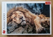 Puzzle Trefl 1000 Śpiący lew