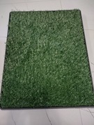 Kuweta dla Psów Sailnovo ze Sztuczną Trawą, 63 x 50 cm 