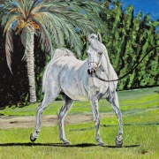 Klacz arabska obraz od artysty konie arabskie prezent