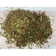 Pysznogłówka Monarda didyma 100 g